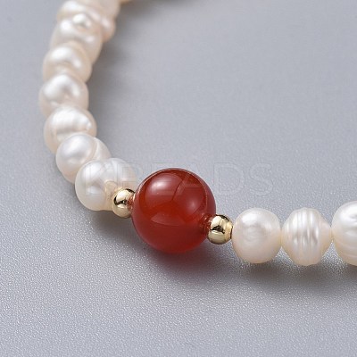 Stretch Grade A Natural Freshwater Pearl Bracelets BJEW-JB04623-04-1