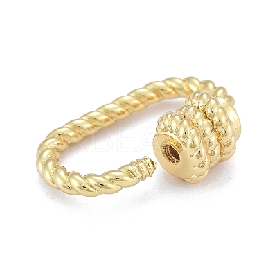 Brass Screw Carabiner Lock Charms ZIRC-E164-09G-1