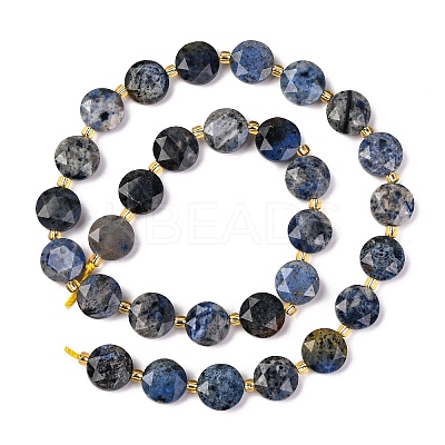 Natural Dumortierite Beads Strands G-C116-A113-01-1