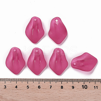 Transparent Frosted Acrylic Pendants MACR-S371-03A-706-1