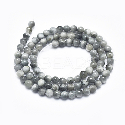 Natura Hawk's Eye Beads Strands G-D0001-22C-10mm-1