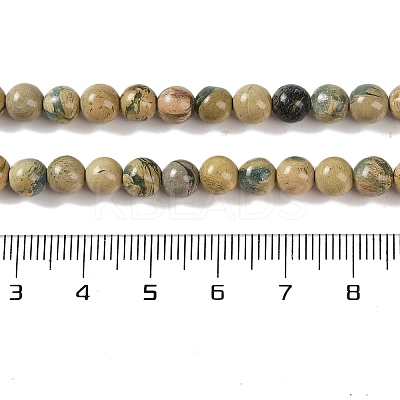 Natural Verdite Stone Beads Strands G-P530-B07-02-1