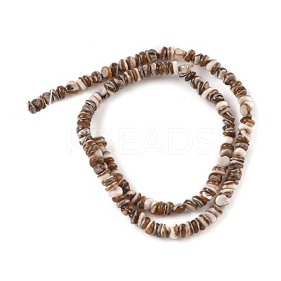 Natural Black Lip Shell Beads Strands SSHEL-F304-02A-1