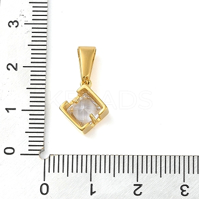 304 Stainless Steel Micro Pave Clear Cubic Zirconia Pendants STAS-R229-23G-1