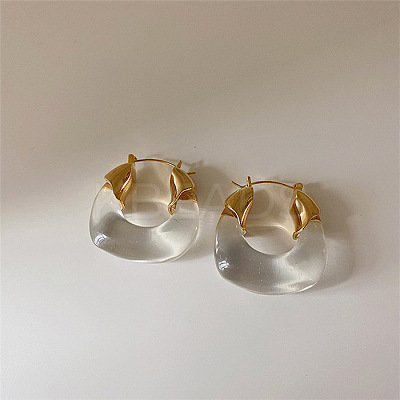 Retro Alloy Resin U-Shaped Hoop Earrings FS-WG1DDE7-01-1