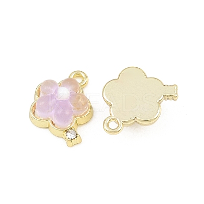 Alloy & Resin Pendants RE-CBA1FD3-15G-1