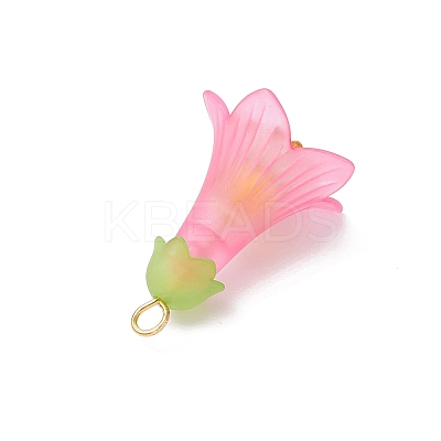 Transparent Acrylic Bead Caps PALLOY-JF03722-1