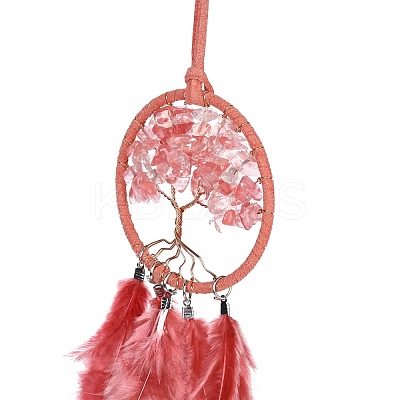 Iron Woven Web/Net with Feather Pendant Decorations AJEW-P097-11-1