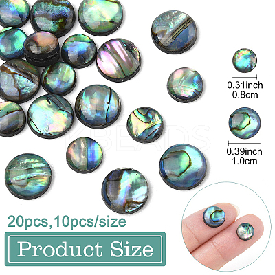 20Pcs 2 Styles Natural Paua Shell Cabochons SHEL-YW0001-09-1