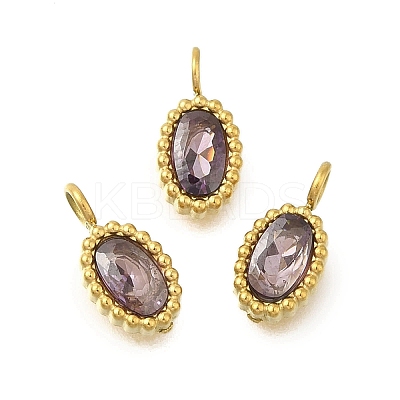 304 Stainless Steel Micro Pave Cubic Zirconia Charms STAS-U027-02G-06-1