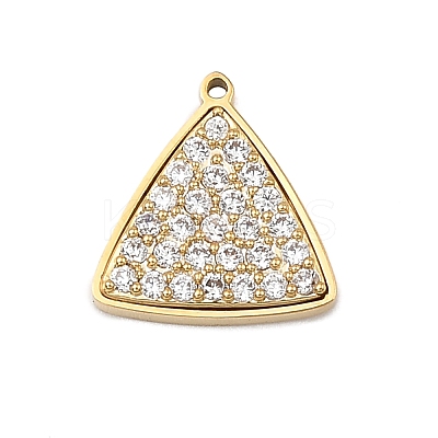 304 Stainless Steel Micro Pave Cubic Zirconia Charms LS-STAS-I356-04G-02-1