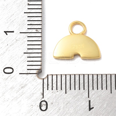925 Sterling Silver Colorful Enamel Charms STER-Z012-01G-05-1