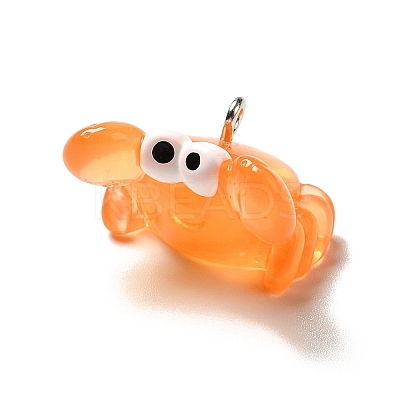 Marine Series Transparent Resin Pendants RESI-E031-02P-08-1