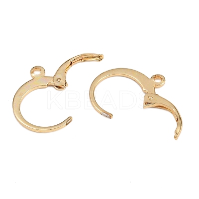 304 Stainless Steel Leverback Earring Findings STAS-F141-02G-1