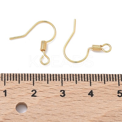 SHEGRACE Brass Earring Hooks XGR0140G-153G-1