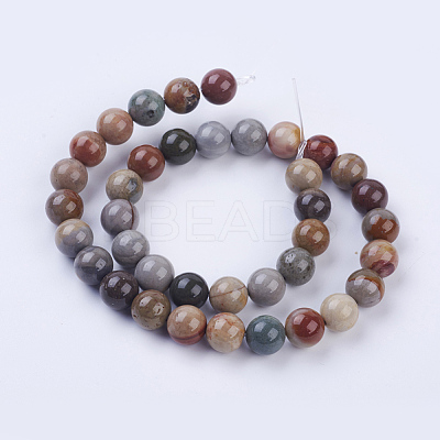Natural Ocean Jasper Beads Strands G-P318-01-10mm-1