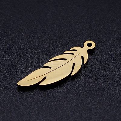 304 Stainless Steel Pendants LS-STAS-Q201-JN349-2-1