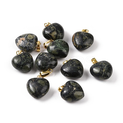 Natural Kambaba Jasper Pendants G-I311-A28-G-1