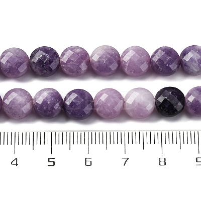 Natural Lepidolite/Purple Mica Stone Beads Strands G-C179-A38-03-1