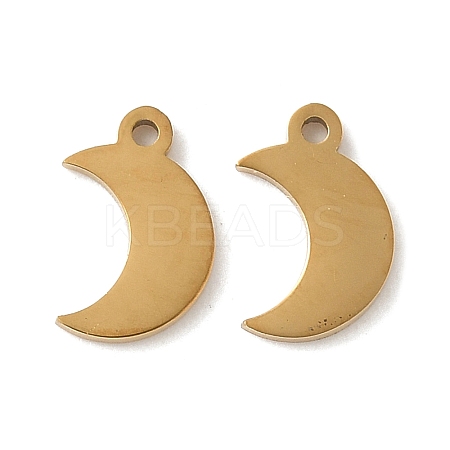 304 Stainless Steel Charms STAS-K306-17B-G-1