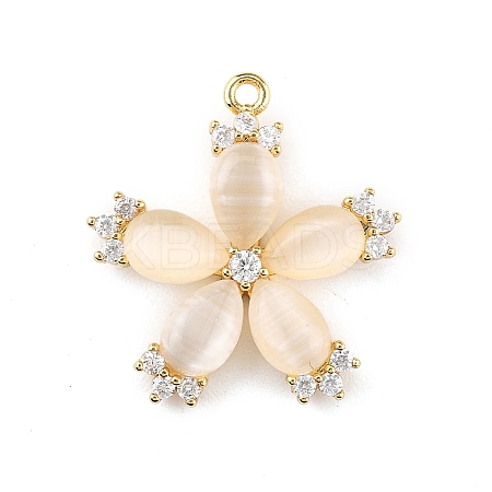 Brass Micro Pave Cubic Zirconia Pendants KK-K371-43G-1
