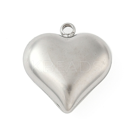 304 Stainless Steel Pendants STAS-S186-06A-P-1