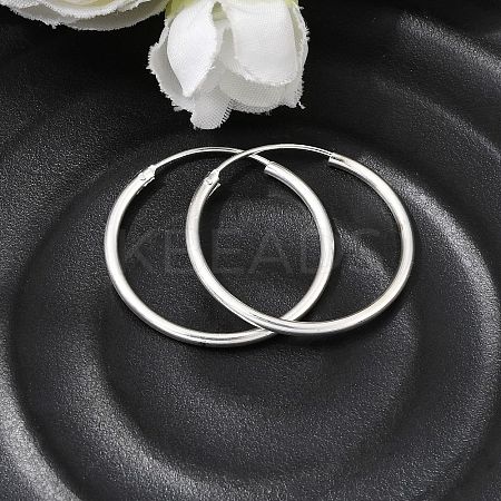 Brass Hoop Earrings EJEW-G474-01S-04-1