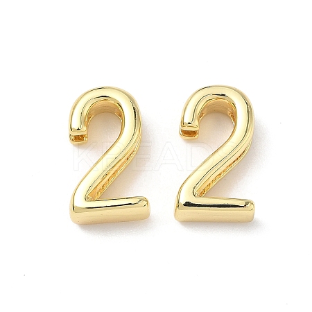 Brass Slide Charms KK-L253-15G-02-1