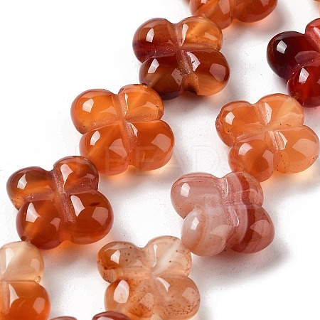 Natural Red Agate Beads Strands G-P520-A06-01-1