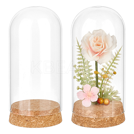 2Pcs Glass Cloche Dome Covers AJEW-BC0008-81-1