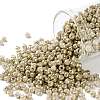 TOHO Round Seed Beads SEED-XTR08-1700-1