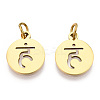 304 Stainless Steel Charms STAS-Q201-T446G-01-2