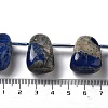 Natural Sodalite Beads Strands G-P528-E12-01-4