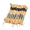 10 Skeins 6-Ply Polyester Embroidery Floss OCOR-K006-A68-1