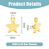 100Pcs Alloy Pendants FIND-DC0005-49-2