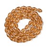 Transparent Glass Beads Strands LS-EGLA-N013-T10mm-D21-2