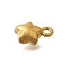 304 Stainless Steel Charms LS-STAS-D310-06G-05-2