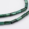 Natural Shell Bead Strands BSHE-P016-13-3