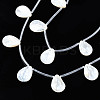 Natural Freshwater Shell Beads Strands SHEL-N026-153A-01-3