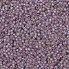 TOHO Round Seed Beads SEED-JPTR11-0166F-2