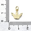 Brass Micro Pave Clear Cubic Zirconia Crown Charms KK-V010-27G-3
