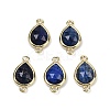 Dyed Natural Lapis Lazuli Faceted Connector Charms G-L514-048P-11-1