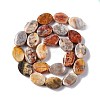 Natural Crazy Lace Agate Beads Strands G-M208-14-3