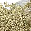TOHO Round Seed Beads X-SEED-TR11-PF0559-1