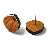Wood Stud Earrings EJEW-Z054-01F-2