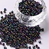 8/0 Glass Seed Beads X1-SEED-A009-3mm-603-1