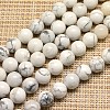 Natural Howlite Beads Strands G-I107-10mm-1
