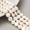 Natural Cultured Freshwater Pearl Beads Strands PEAR-A006-09I-1