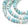 Natural Howlite Beads Strands G-H025-03D-09-4