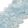 Natural Aquamarine Beads Strands G-P534-A08-01-1